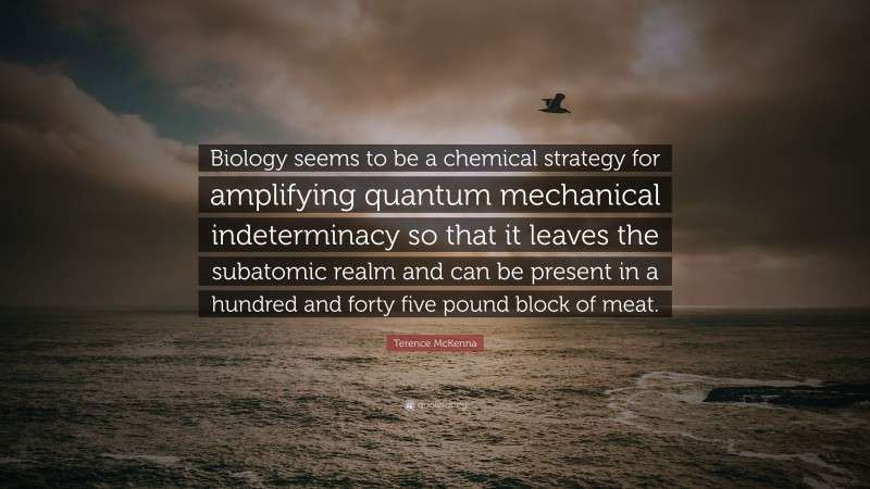 Terence McKenna Quote: “Biology seems to be a chemical strategy for amplifying quantum mechanical indeterminacy so that it leaves the subatomic realm and can be present in a hundred and forty five pound block of meat.”