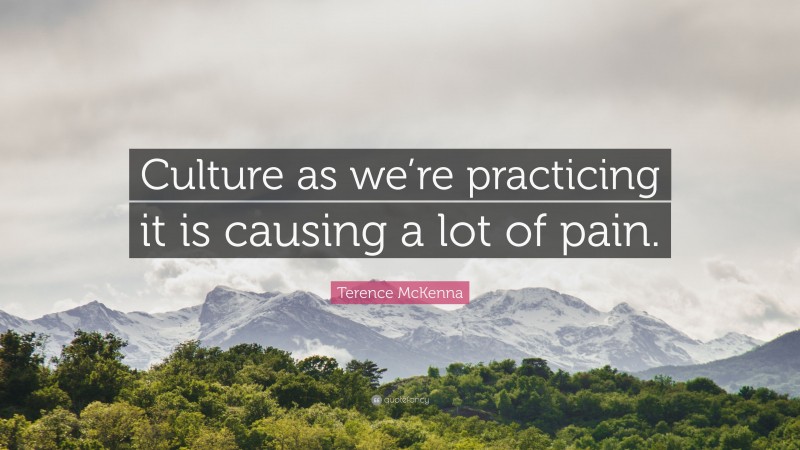 Terence McKenna Quote: “Culture as we’re practicing it is causing a lot of pain.”