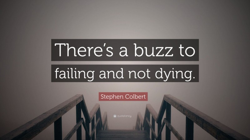 Stephen Colbert Quote: “There’s a buzz to failing and not dying.”