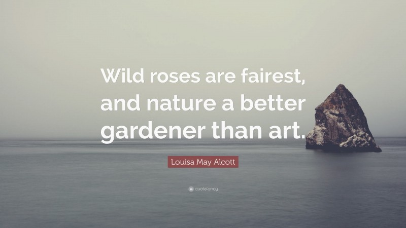 Louisa May Alcott Quote: “Wild roses are fairest, and nature a better gardener than art.”