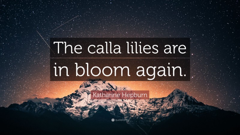 Katharine Hepburn Quote: “The calla lilies are in bloom again.”