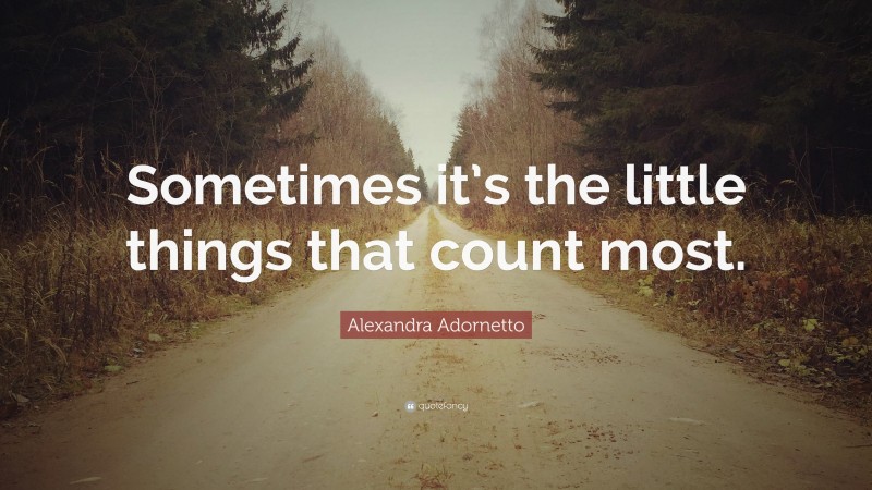 Alexandra Adornetto Quote: “Sometimes it’s the little things that count most.”