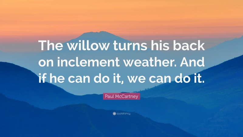 Paul McCartney Quote: “The willow turns his back on inclement weather. And if he can do it, we can do it.”