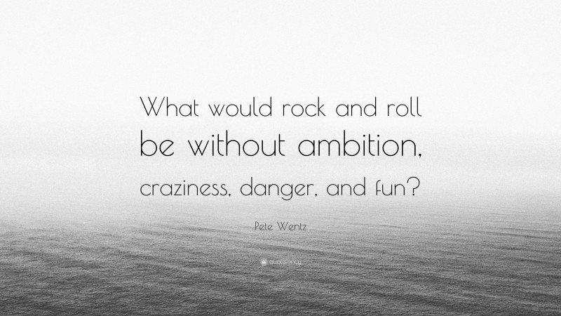 Pete Wentz Quote: “What would rock and roll be without ambition, craziness, danger, and fun?”