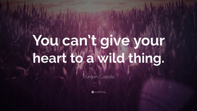 Truman Capote Quote: “You can’t give your heart to a wild thing.”