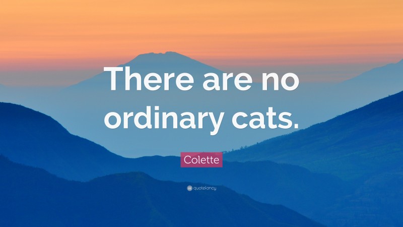 Colette Quote: “There are no ordinary cats.”