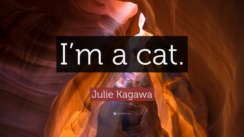 Julie Kagawa Quote: “I’m a cat.”