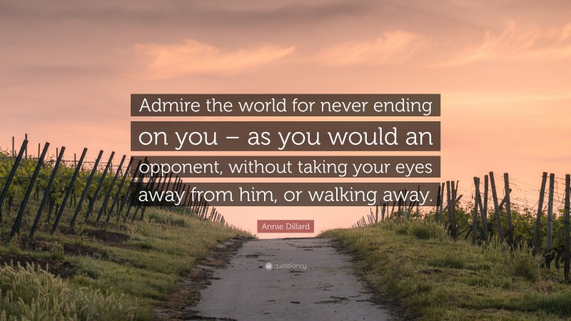 Annie Dillard Quote: “Admire the world for never ending on you – as you would an opponent, without taking your eyes away from him, or walking away.”
