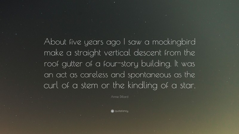Annie Dillard Quote: “About five years ago I saw a mockingbird make a straight vertical descent from the roof gutter of a four-story building. It was an act as careless and spontaneous as the curl of a stem or the kindling of a star.”