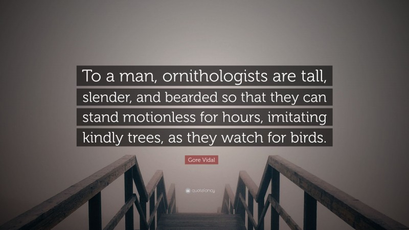 Gore Vidal Quote: “To a man, ornithologists are tall, slender, and bearded so that they can stand motionless for hours, imitating kindly trees, as they watch for birds.”