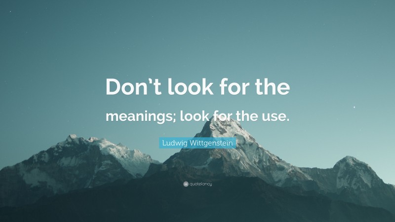 Ludwig Wittgenstein Quote: “Don’t look for the meanings; look for the use.”