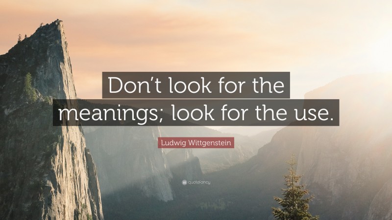 Ludwig Wittgenstein Quote: “Don’t look for the meanings; look for the use.”