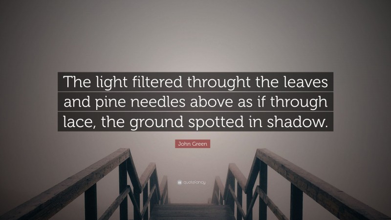 John Green Quote: “The light filtered throught the leaves and pine needles above as if through lace, the ground spotted in shadow.”