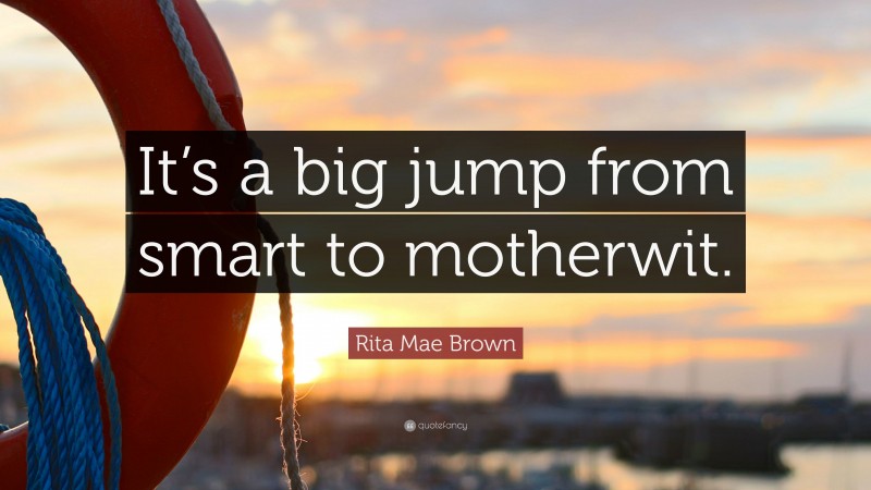 Rita Mae Brown Quote: “It’s a big jump from smart to motherwit.”