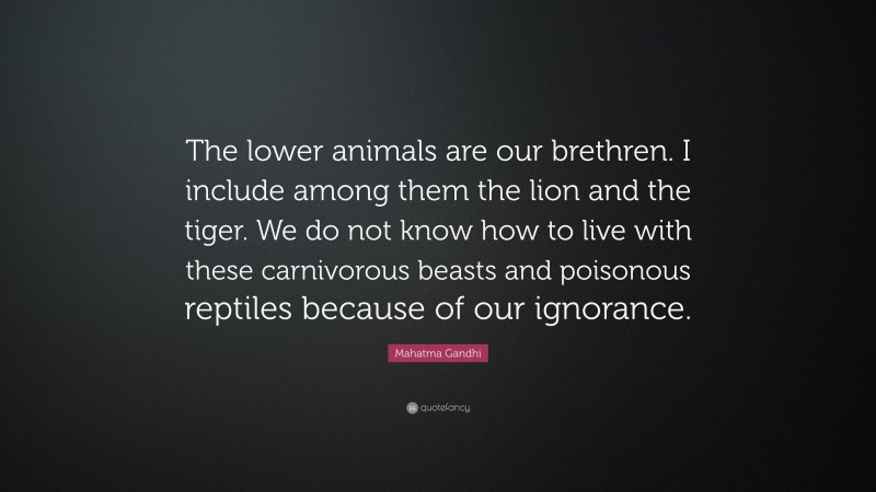 Mahatma Gandhi Quote: “The lower animals are our brethren. I include among them the lion and the tiger. We do not know how to live with these carnivorous beasts and poisonous reptiles because of our ignorance.”