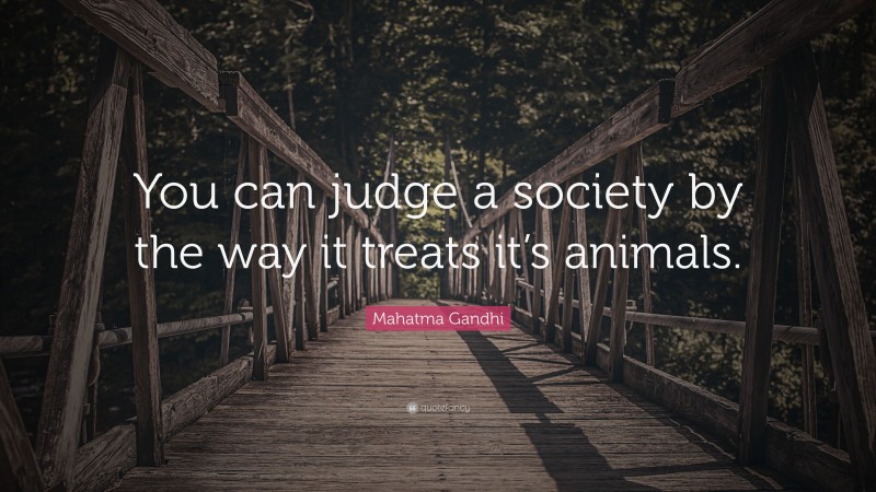 Mahatma Gandhi Quote: “You can judge a society by the way it treats it’s animals.”