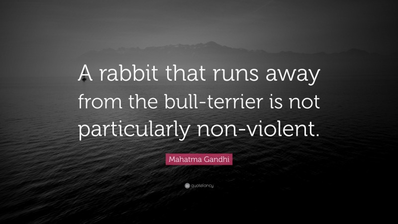 Mahatma Gandhi Quote: “A rabbit that runs away from the bull-terrier is not particularly non-violent.”
