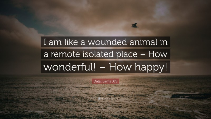 Dalai Lama XIV Quote: “I am like a wounded animal in a remote isolated place – How wonderful! – How happy!”