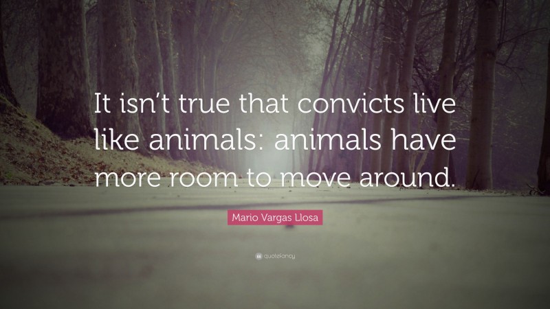 Mario Vargas Llosa Quote: “It isn’t true that convicts live like animals: animals have more room to move around.”