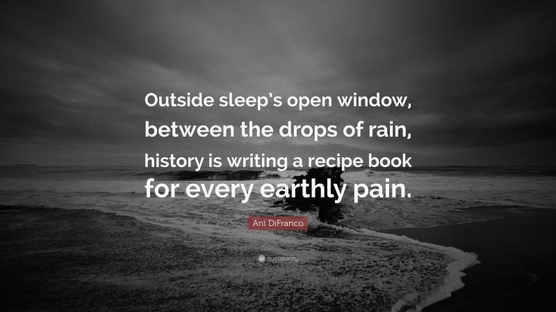 Ani DiFranco Quote: “Outside sleep’s open window, between the drops of rain, history is writing a recipe book for every earthly pain.”