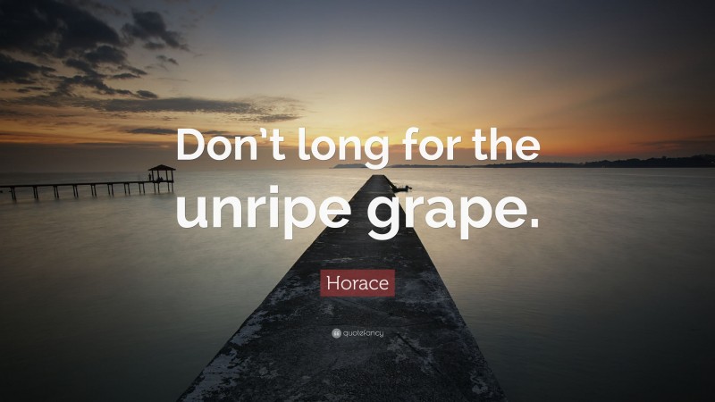 Horace Quote: “Don’t long for the unripe grape.”