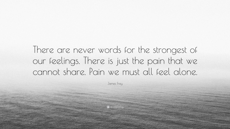James Frey Quote: “There are never words for the strongest of our feelings. There is just the pain that we cannot share. Pain we must all feel alone.”