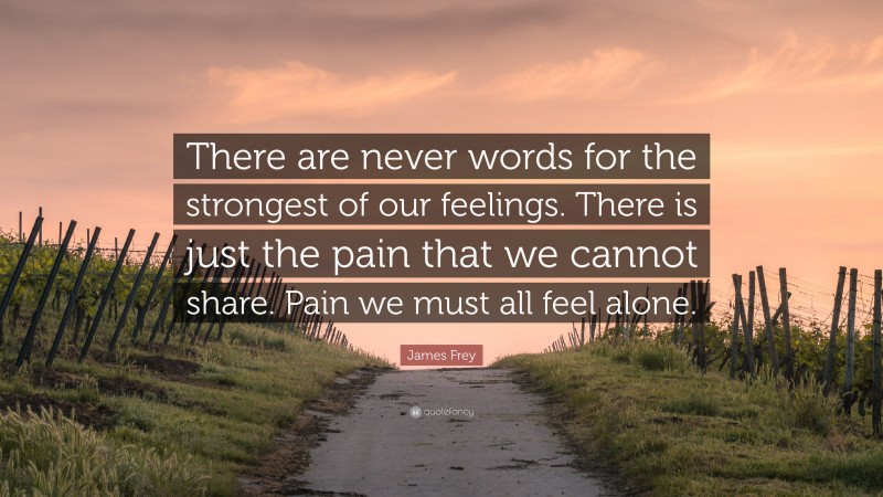 James Frey Quote: “There are never words for the strongest of our feelings. There is just the pain that we cannot share. Pain we must all feel alone.”