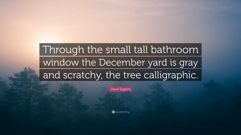 Dave Eggers Quote: “Through the small tall bathroom window the December yard is gray and scratchy, the tree calligraphic.”