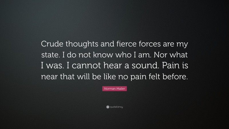 Norman Mailer Quote: “Crude thoughts and fierce forces are my state. I do not know who I am. Nor what I was. I cannot hear a sound. Pain is near that will be like no pain felt before.”