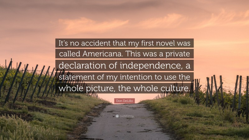 Don DeLillo Quote: “It’s no accident that my first novel was called Americana. This was a private declaration of independence, a statement of my intention to use the whole picture, the whole culture.”