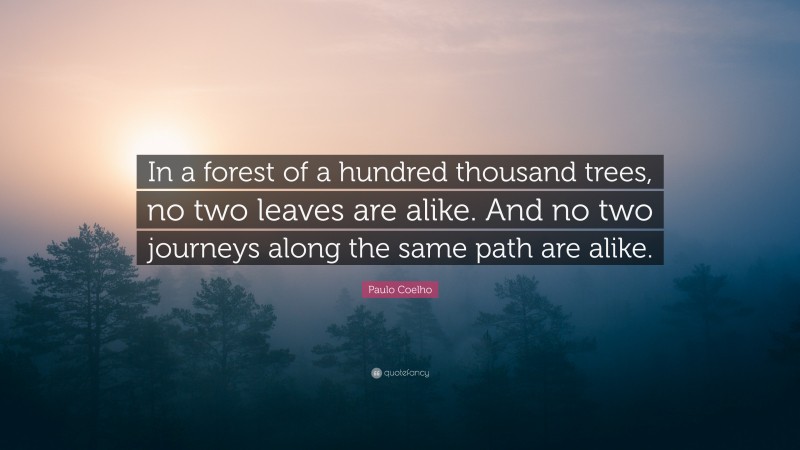 Paulo Coelho Quote: “In a forest of a hundred thousand trees, no two leaves are alike. And no two journeys along the same path are alike.”