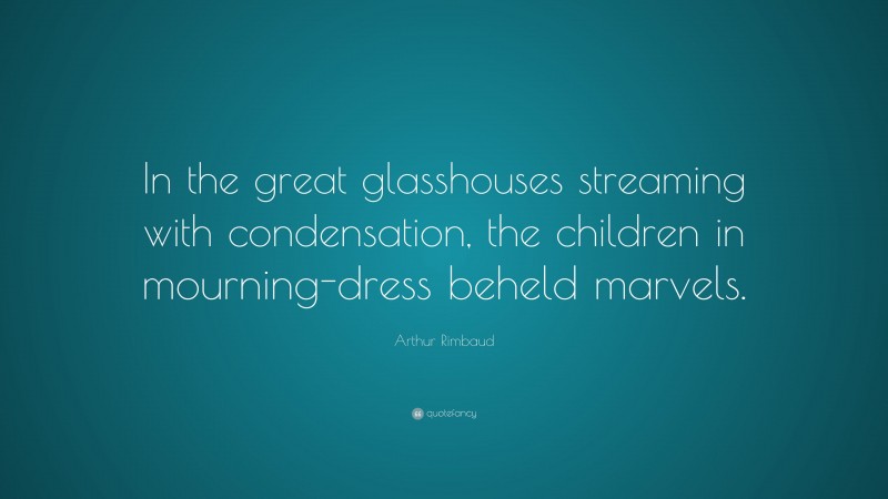 Arthur Rimbaud Quote: “In the great glasshouses streaming with condensation, the children in mourning-dress beheld marvels.”