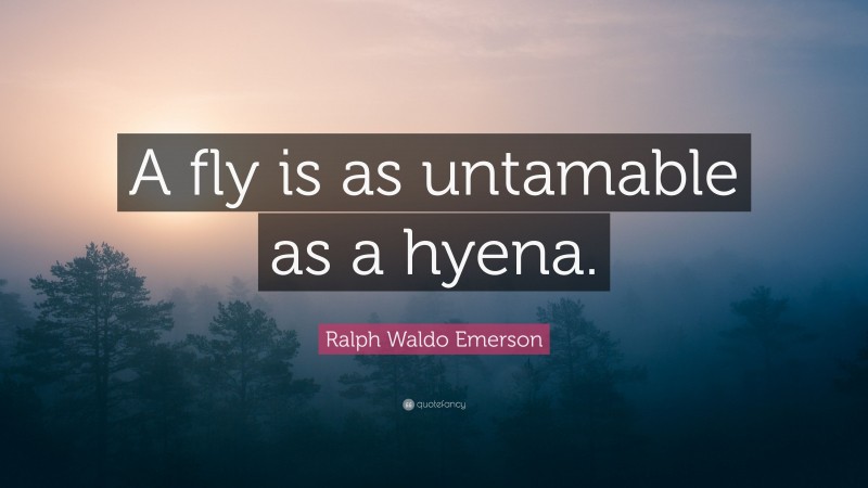 Ralph Waldo Emerson Quote: “A fly is as untamable as a hyena.”