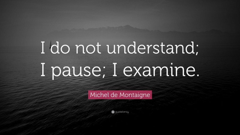 Michel de Montaigne Quote: “I do not understand; I pause; I examine.”