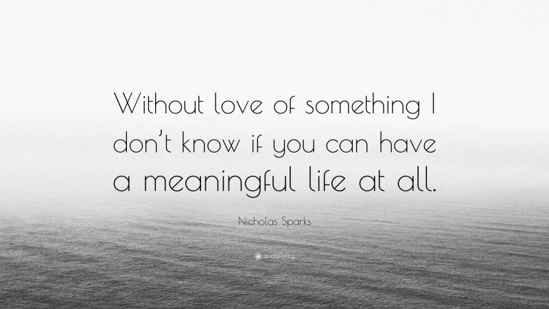 Nicholas Sparks Quote: “Without love of something I don’t know if you can have a meaningful life at all.”