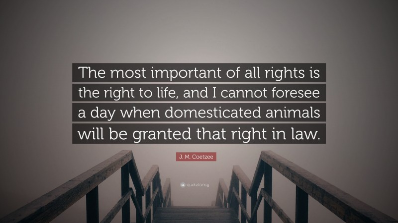 J. M. Coetzee Quote: “The most important of all rights is the right to life, and I cannot foresee a day when domesticated animals will be granted that right in law.”