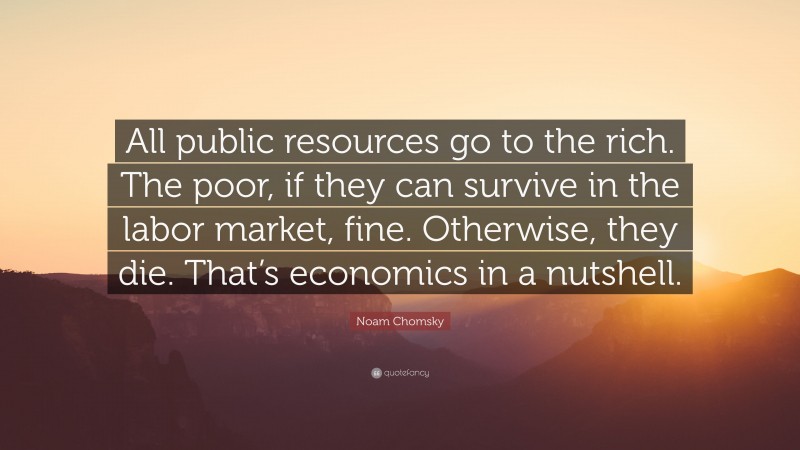 Noam Chomsky Quote: “All public resources go to the rich. The poor, if they can survive in the labor market, fine. Otherwise, they die. That’s economics in a nutshell.”
