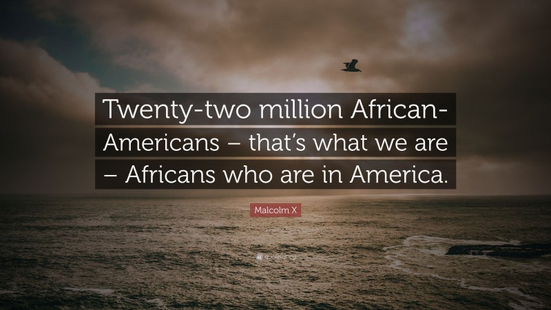Malcolm X Quote: “Twenty-two million African-Americans – that’s what we are – Africans who are in America.”