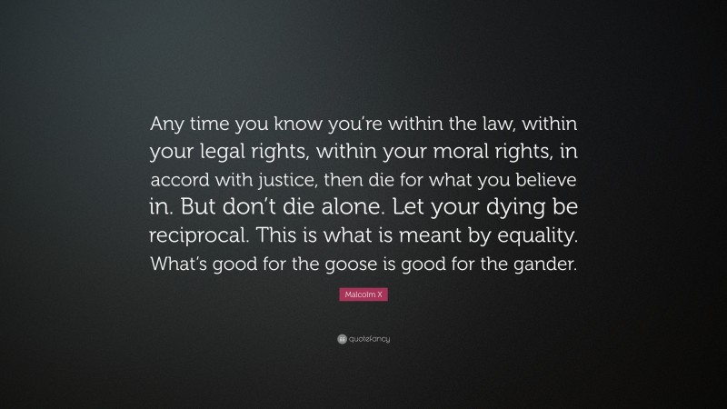 Malcolm X Quote: “Any time you know you’re within the law, within your legal rights, within your moral rights, in accord with justice, then die for what you believe in. But don’t die alone. Let your dying be reciprocal. This is what is meant by equality. What’s good for the goose is good for the gander.”