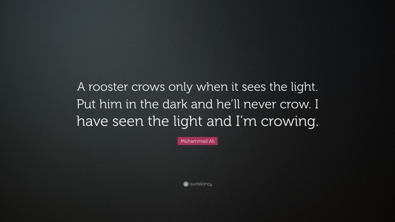 Muhammad Ali Quote: “A rooster crows only when it sees the light. Put him in the dark and he’ll never crow. I have seen the light and I’m crowing.”