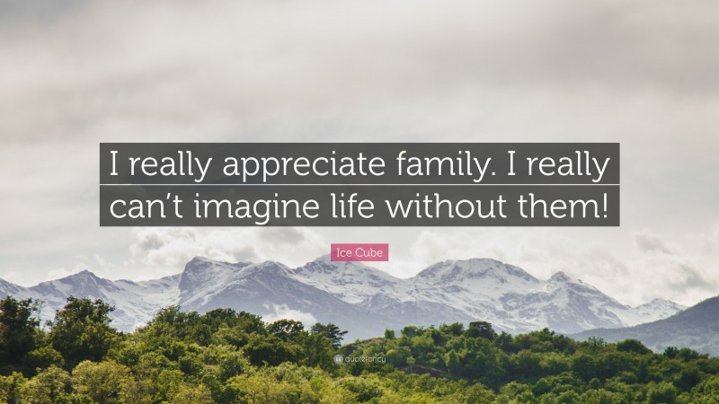 Ice Cube Quote: “I really appreciate family. I really can’t imagine life without them!”