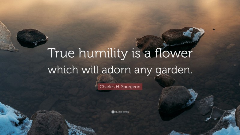 Charles H. Spurgeon Quote: “True humility is a flower which will adorn any garden.”