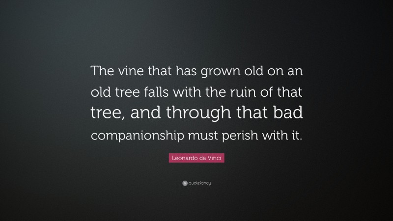 Leonardo da Vinci Quote: “The vine that has grown old on an old tree falls with the ruin of that tree, and through that bad companionship must perish with it.”