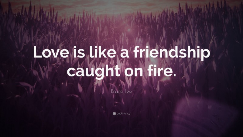 Bruce Lee Quote: “Love is like a friendship caught on fire.”