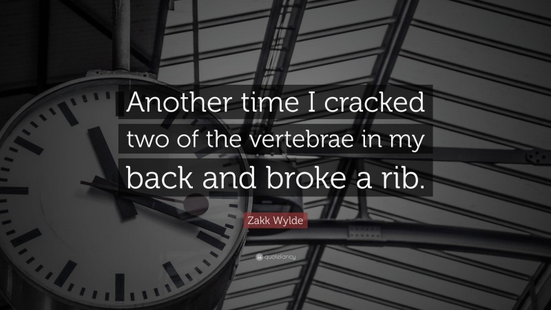 Zakk Wylde Quote: “Another time I cracked two of the vertebrae in my back and broke a rib.”