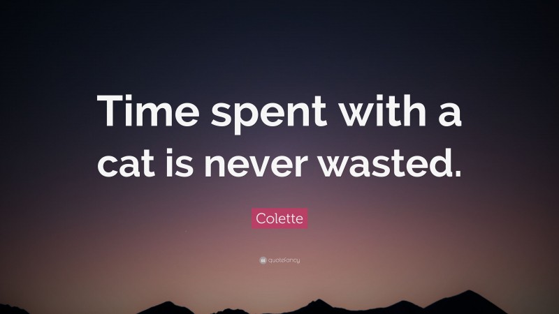 Colette Quote: “Time spent with a cat is never wasted.”