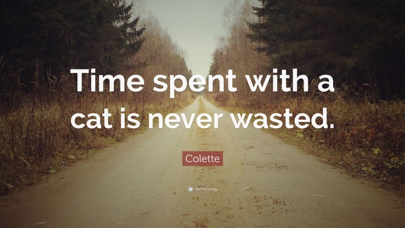 Colette Quote: “Time spent with a cat is never wasted.”