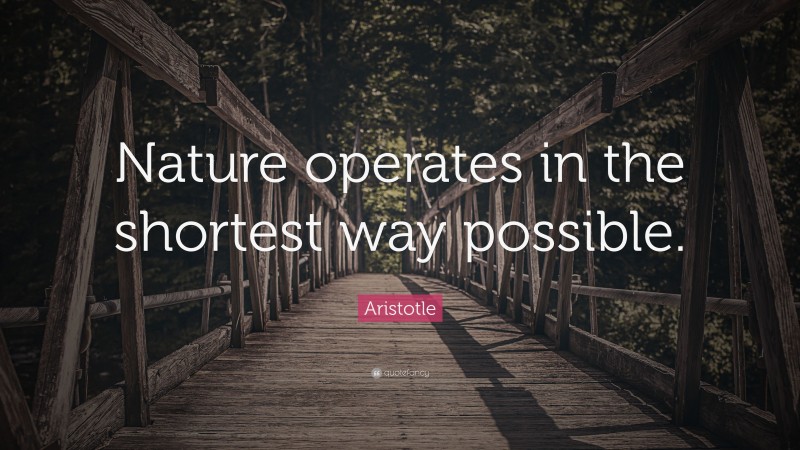Aristotle Quote: “Nature operates in the shortest way possible.”
