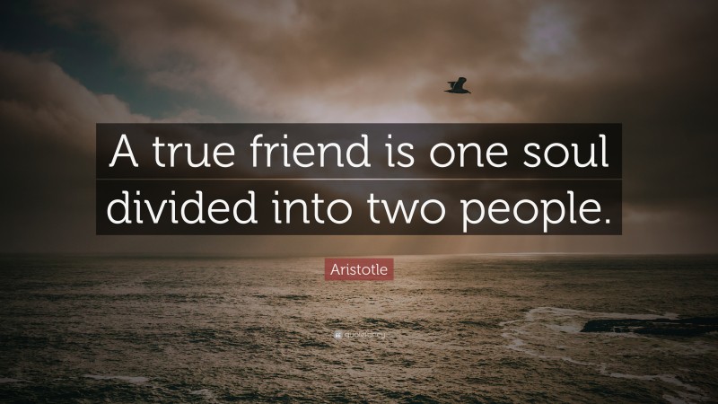 Aristotle Quote: “A true friend is one soul divided into two people.”