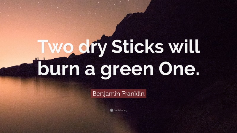 Benjamin Franklin Quote: “Two dry Sticks will burn a green One.”